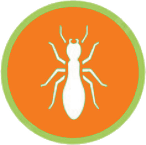 Residential and Commercial Pest Control Highlander Termite and Pest 