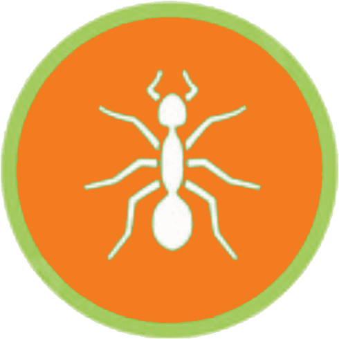 Residential and Commercial Pest Control Highlander Termite and Pest 