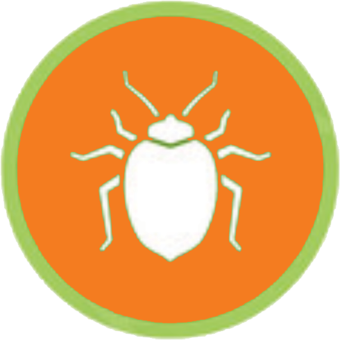 Residential and Commercial Pest Control Highlander Termite and Pest 