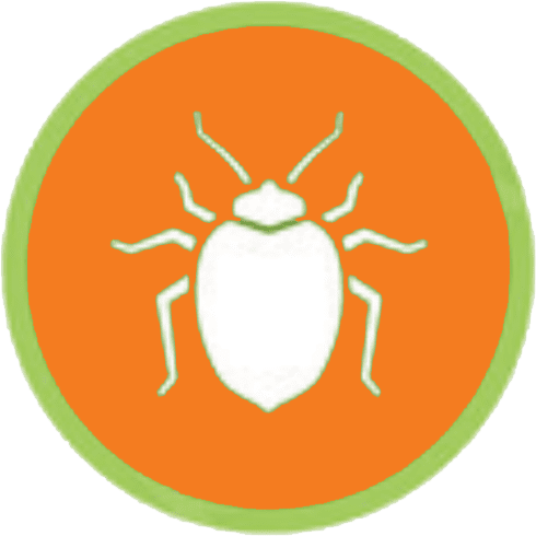 Residential and Commercial Pest Control Highlander Termite and Pest 